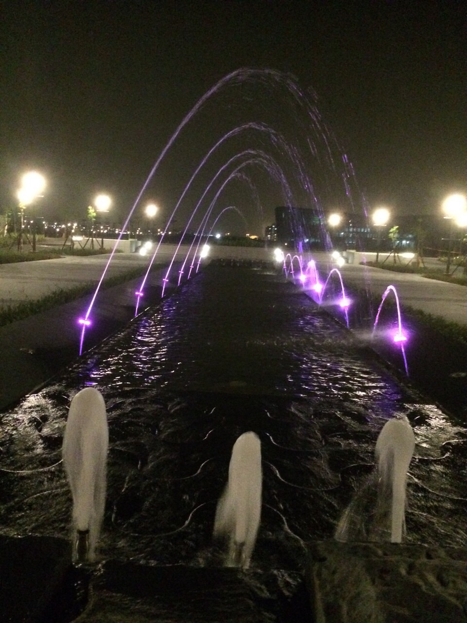 景觀園區噴泉夜景