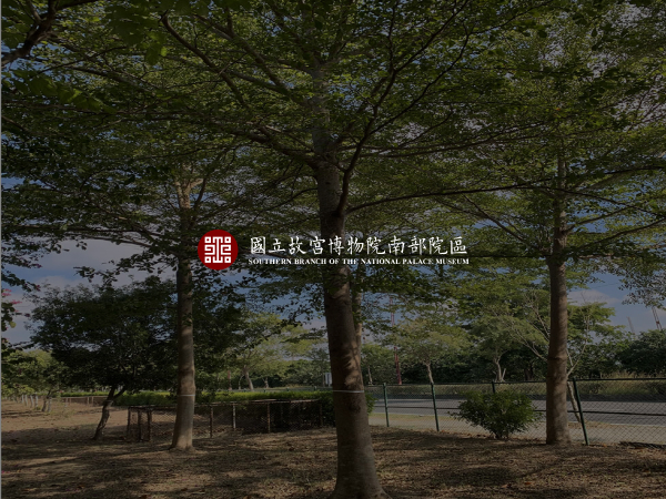 其他(常綠喬木)-M112466561