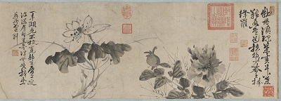 徐渭寫生 卷