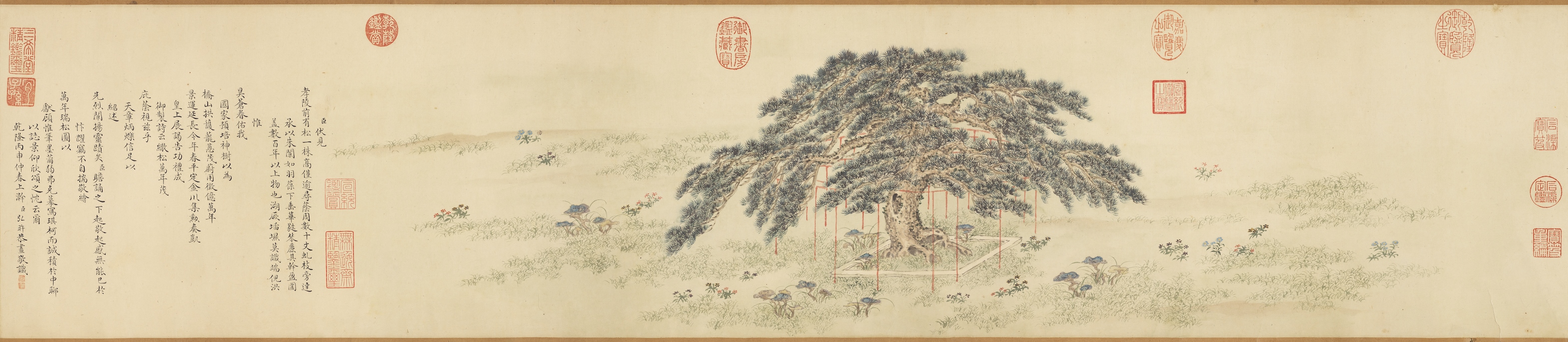 Auspicious Pine Trees Ten Thousand Years of Age