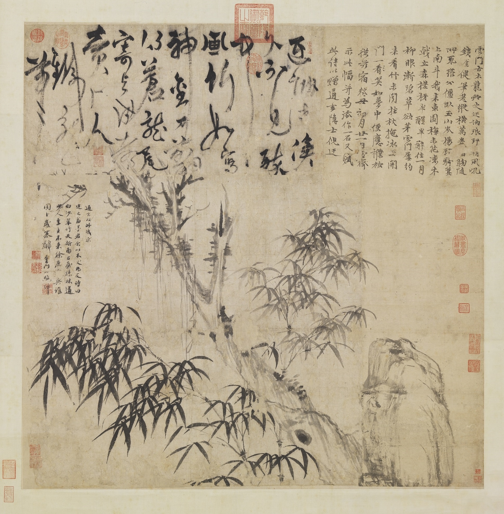 An Ancient Tree, Bamboo, and a Stone