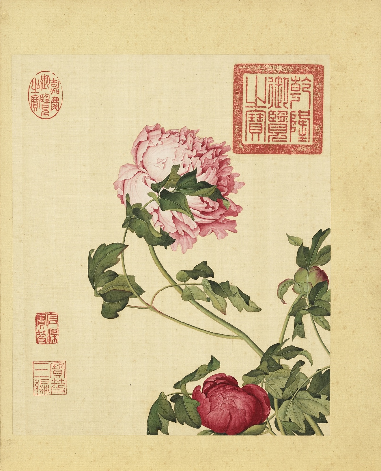 Immortal Blossoms, Everlasting Spring
