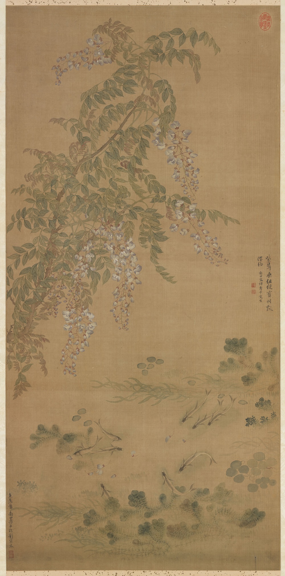 Fish and Aquatic Grasses