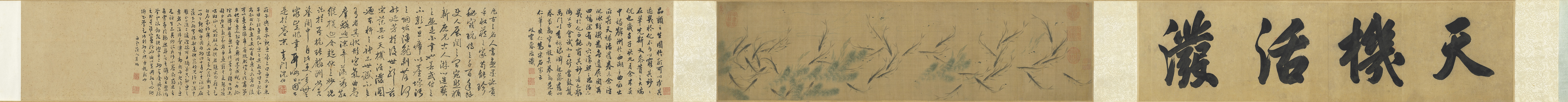 Fish and Aquatic Grasses