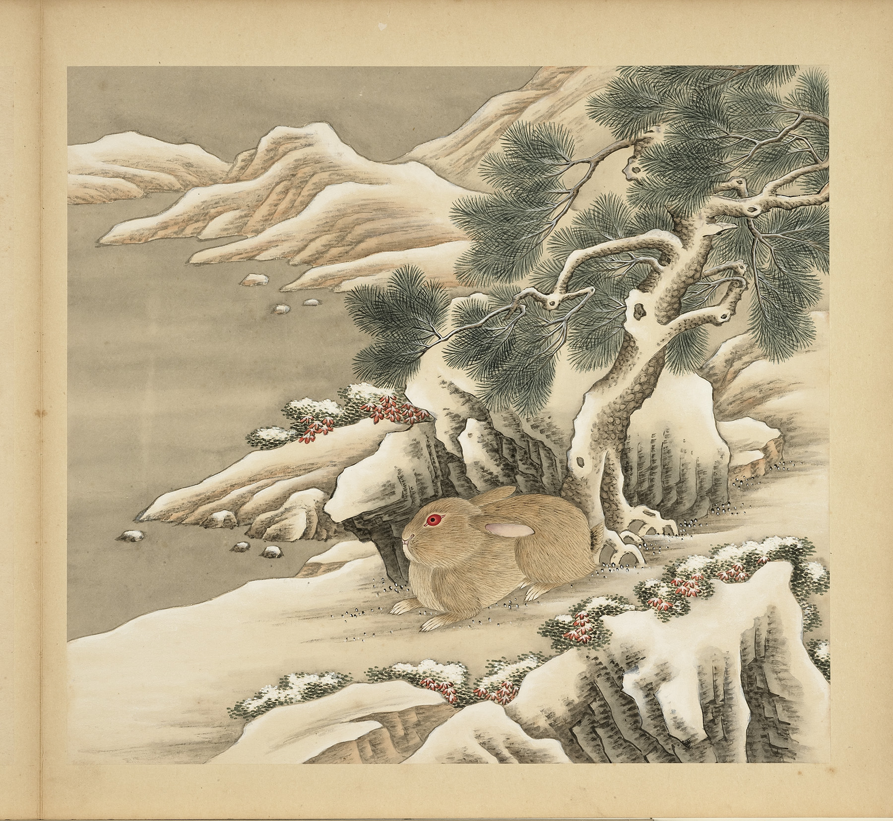 Rabbit Reclining Beside a Tall Pine