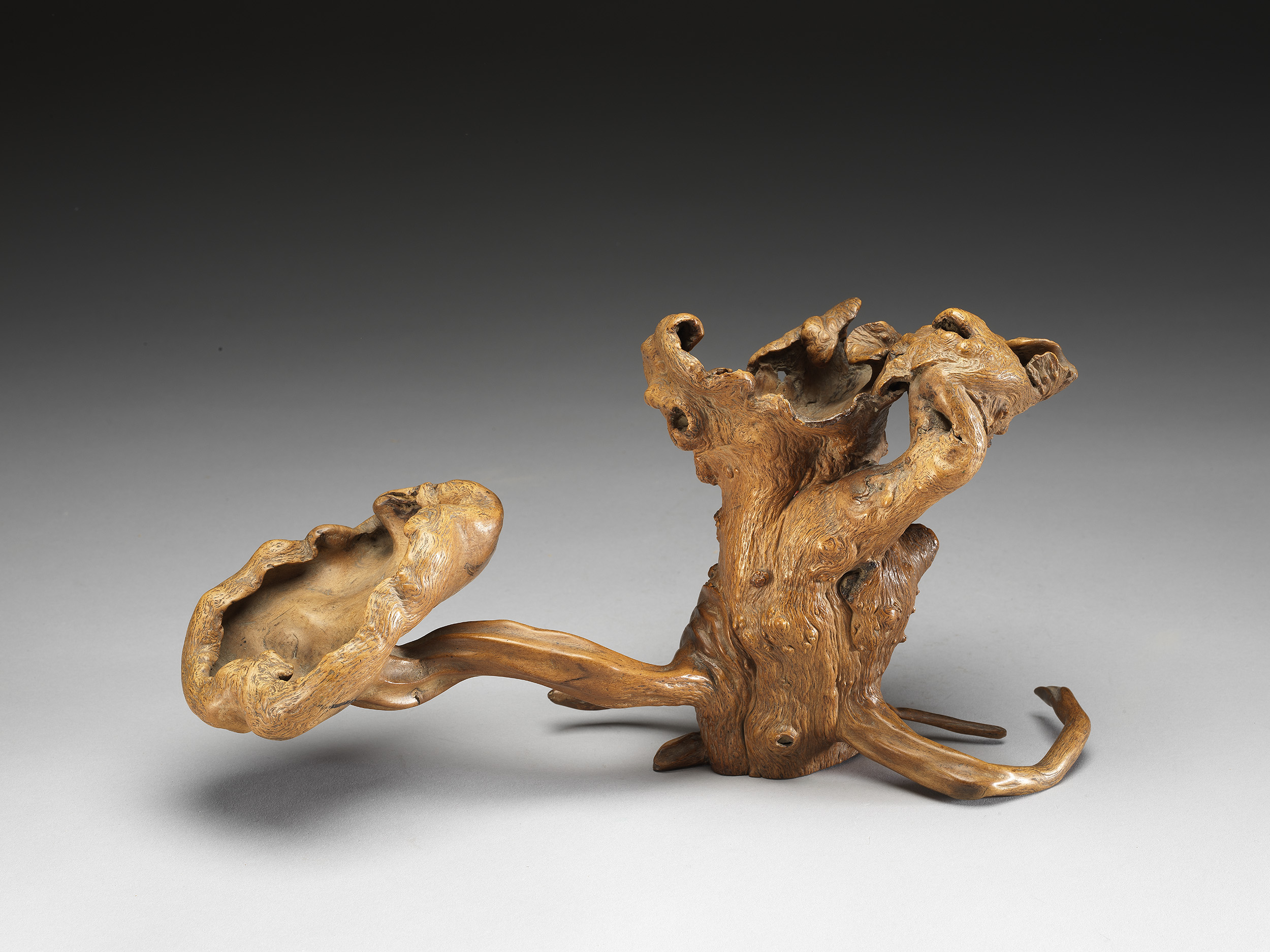 Burl Wood Brush Holder in the Shape of Ganoderma Fungus, Collected by Qian Qianyi 