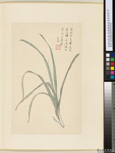 Light Green with a Proliferation of Long Leaves