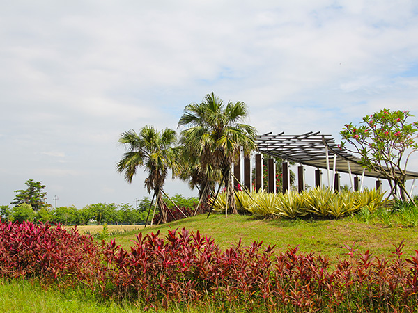 Tropical Garden