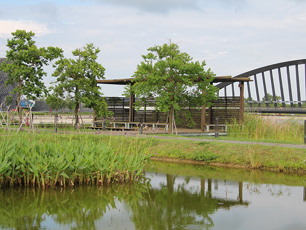 Bird Viewing Platform