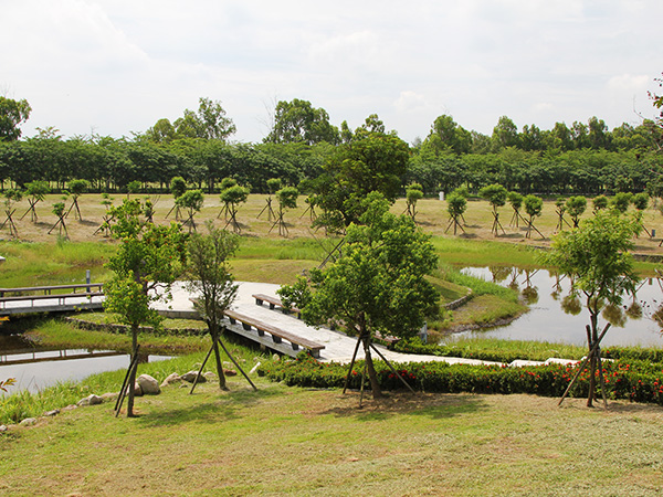 Waterscape Garden